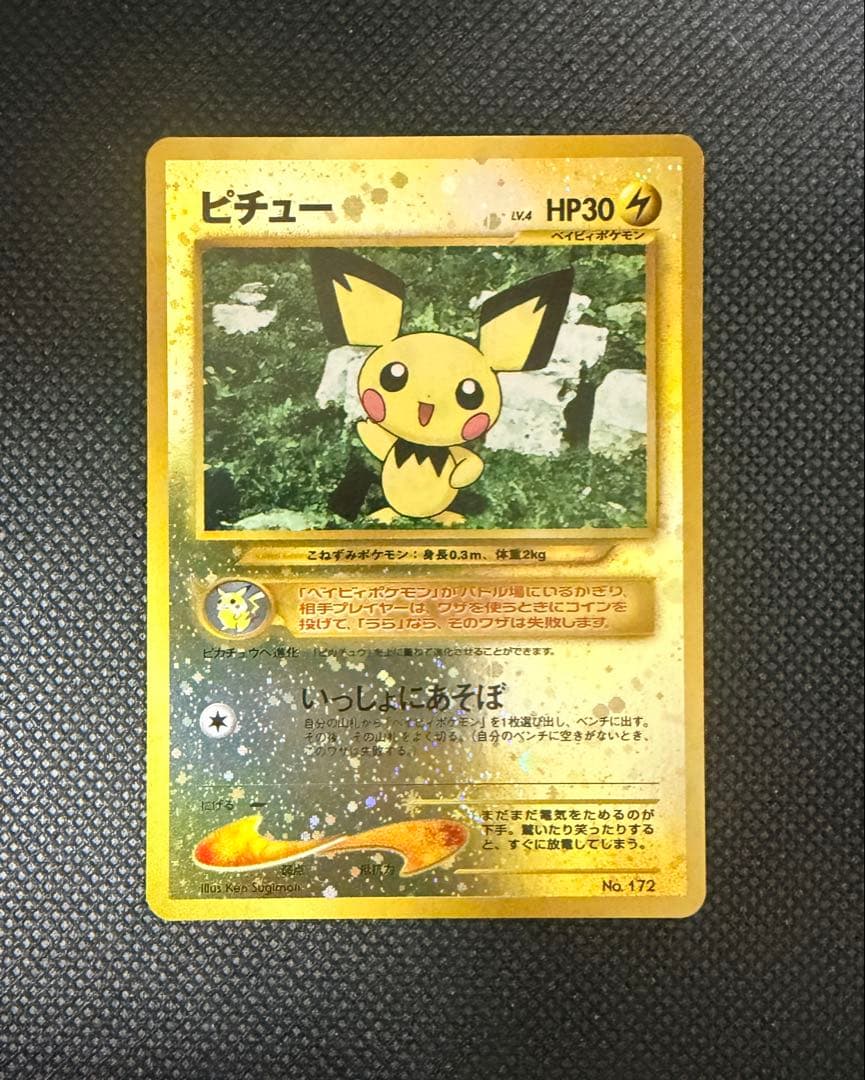 ま*き様 美品 プレミアムファイル2 エンテイ、ピチュー 2枚セット