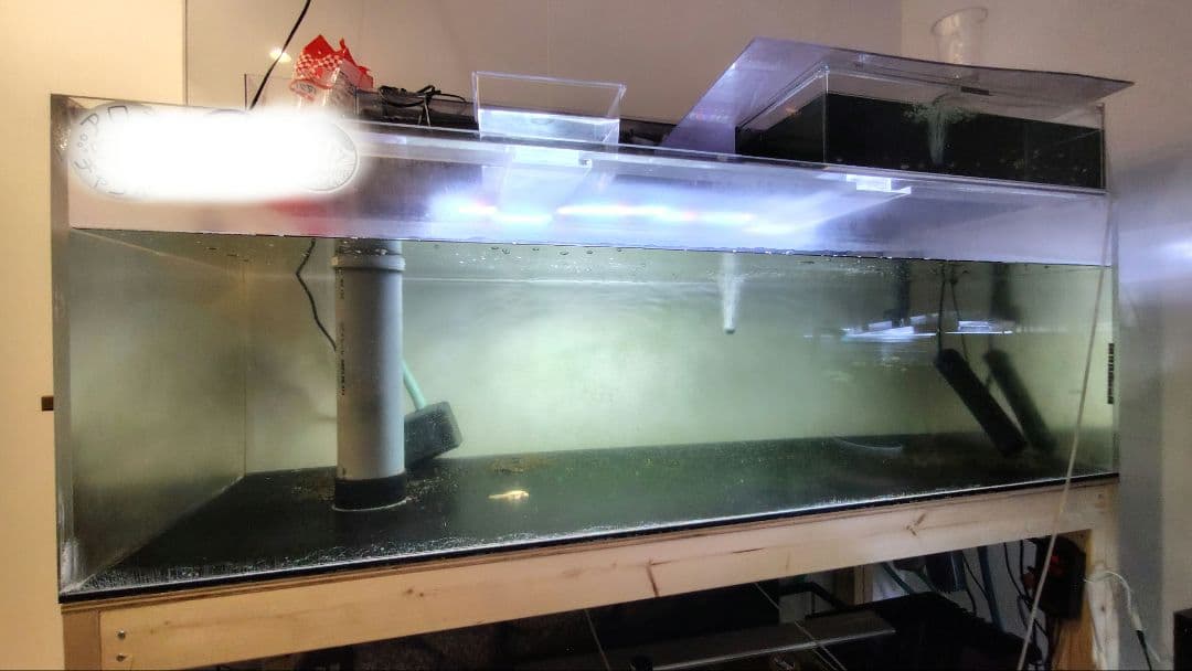 【送料込】大型アクリル水槽　1800×750×600（h）底面ブラック