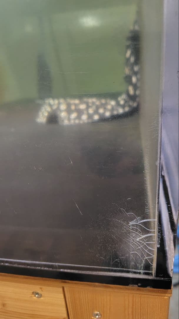 【送料込】大型アクリル水槽　1800×750×600（h）底面ブラック