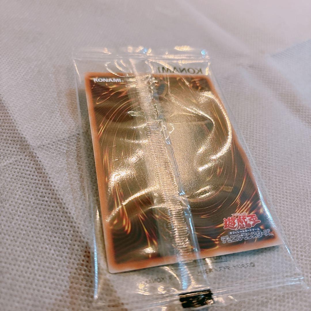 カオスソルジャー　完品フルセット