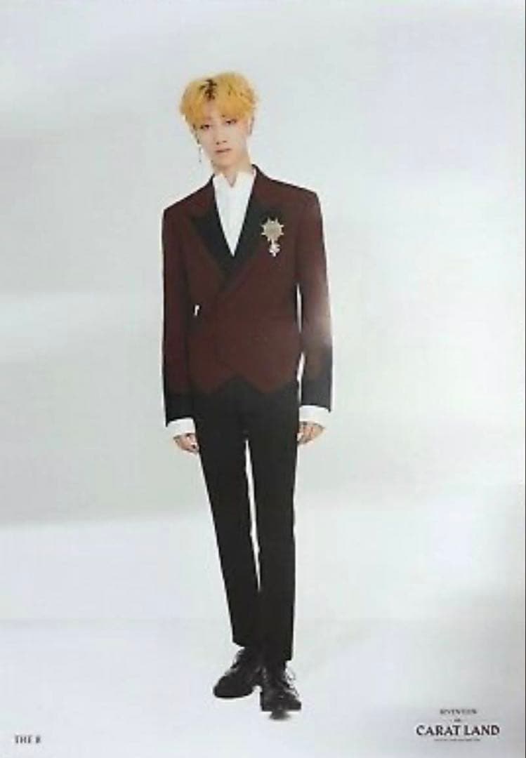 SEVENTEEN セブチ 2018 CARAT LAND ポスター セット