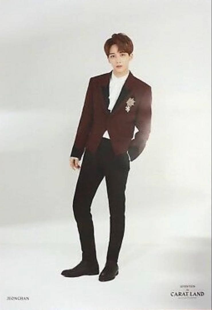 SEVENTEEN セブチ 2018 CARAT LAND ポスター セット