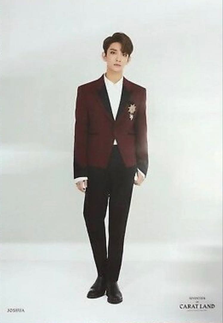 SEVENTEEN セブチ 2018 CARAT LAND ポスター セット