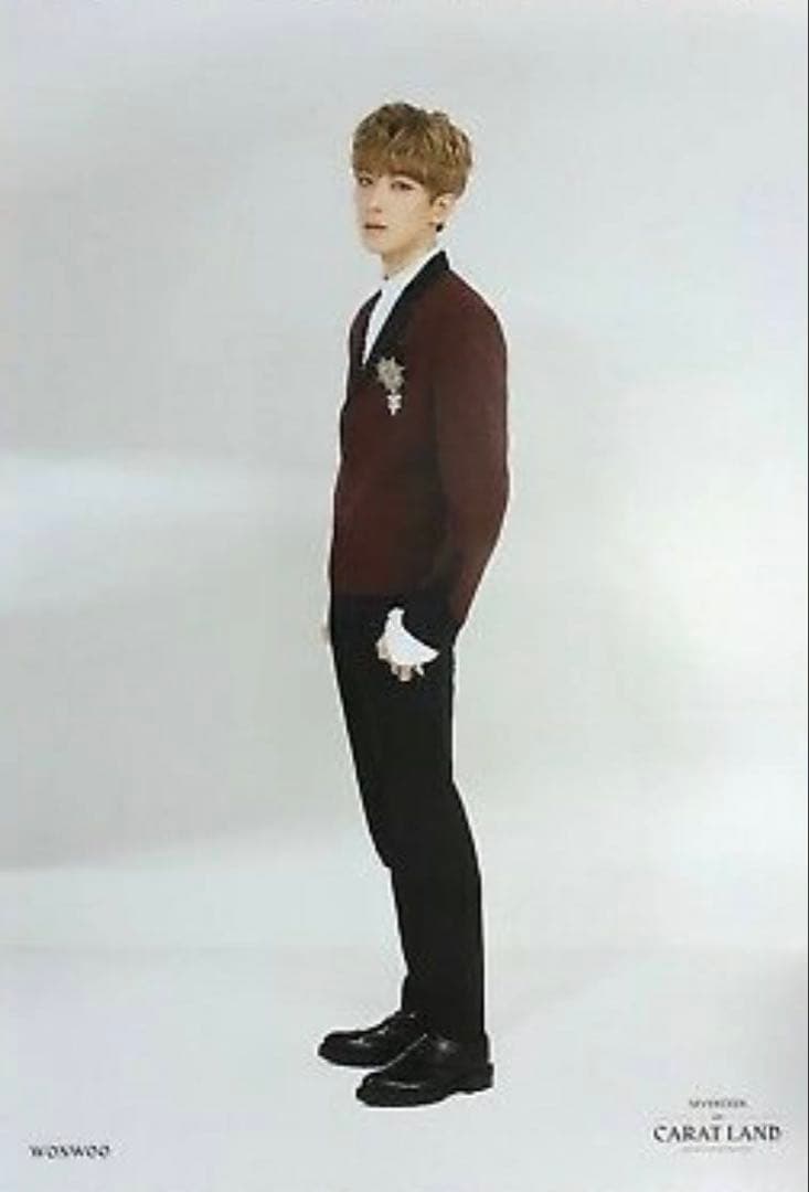 SEVENTEEN セブチ 2018 CARAT LAND ポスター セット