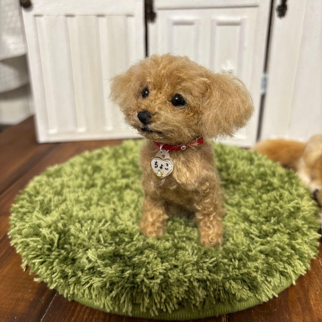 羊毛フェルト犬　やかちゃん
