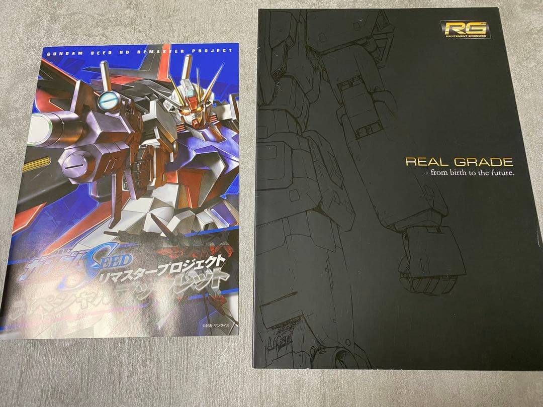 RG ガンダムSEEDセット