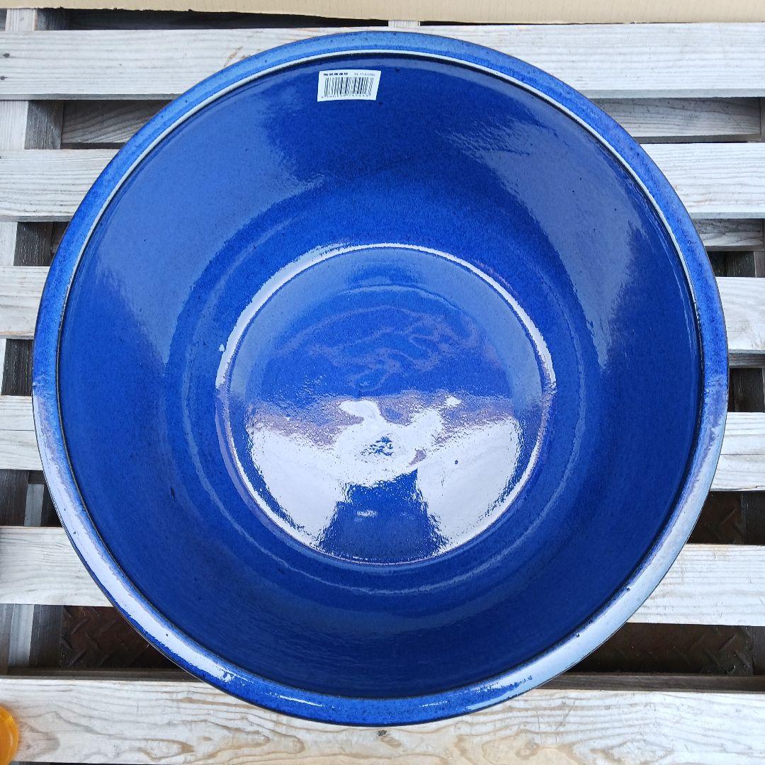 新品　∅51　特大　陶器　睡蓮鉢　手造り　メダカ鉢　難有　ラピスブルー　青LDB