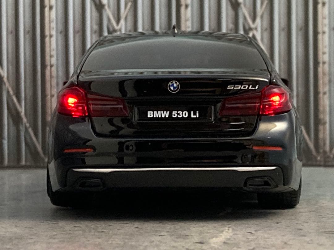 1/24 BMW530（カスタム品）