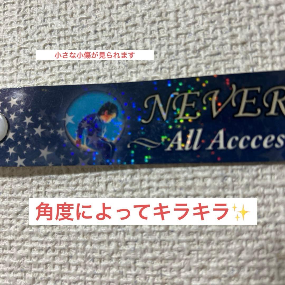 マイケルジャクソン⭐️NEVERLAND All Access Guest バンド