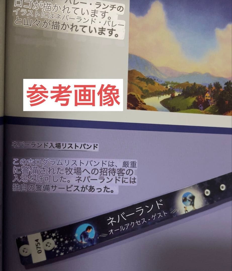 マイケルジャクソン⭐️NEVERLAND All Access Guest バンド