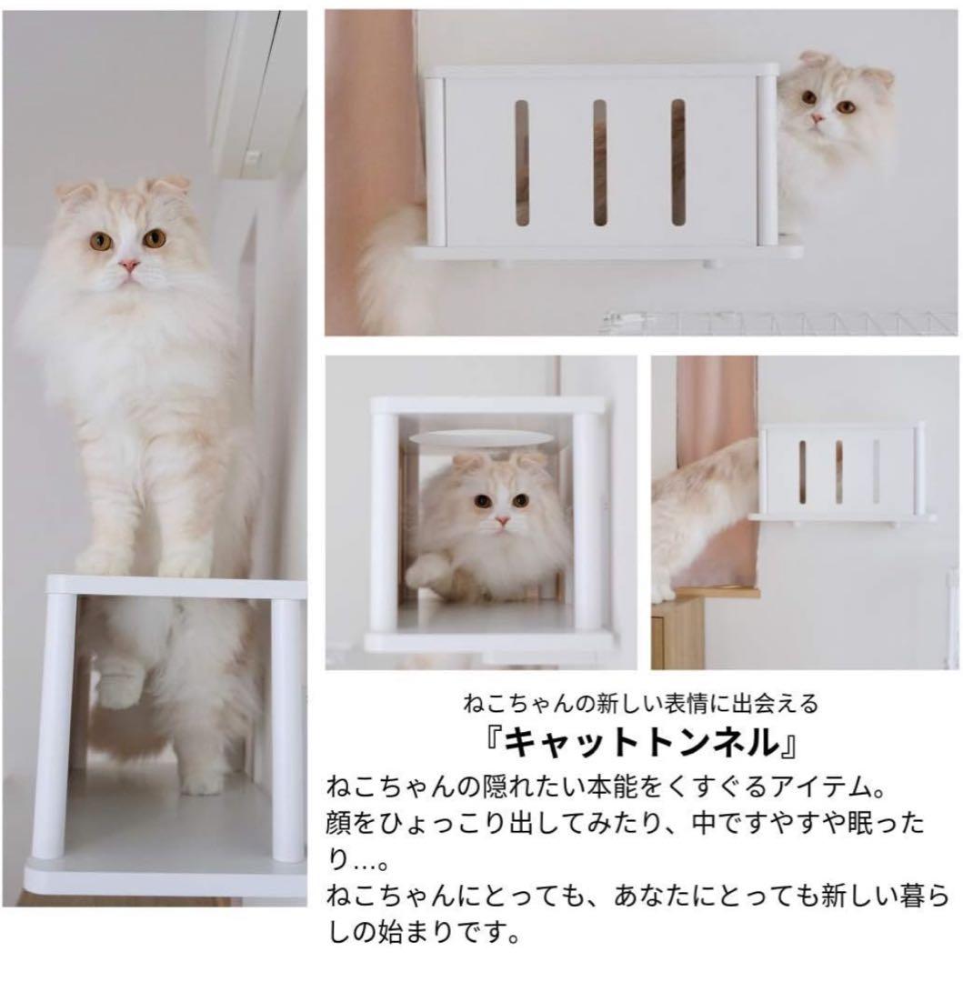 animacolle アニマコレ　キャットロードプラス　キャットトンネル　白