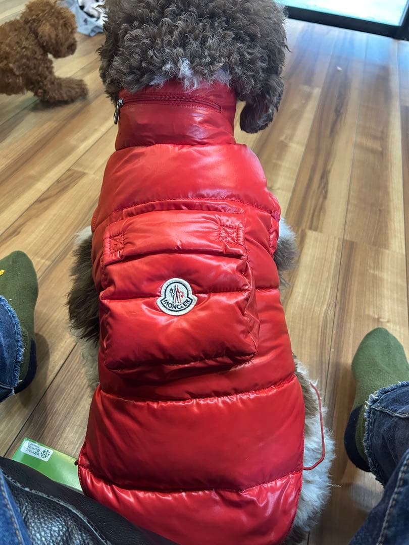 モンクレール犬用ダウンジャケット格安出品