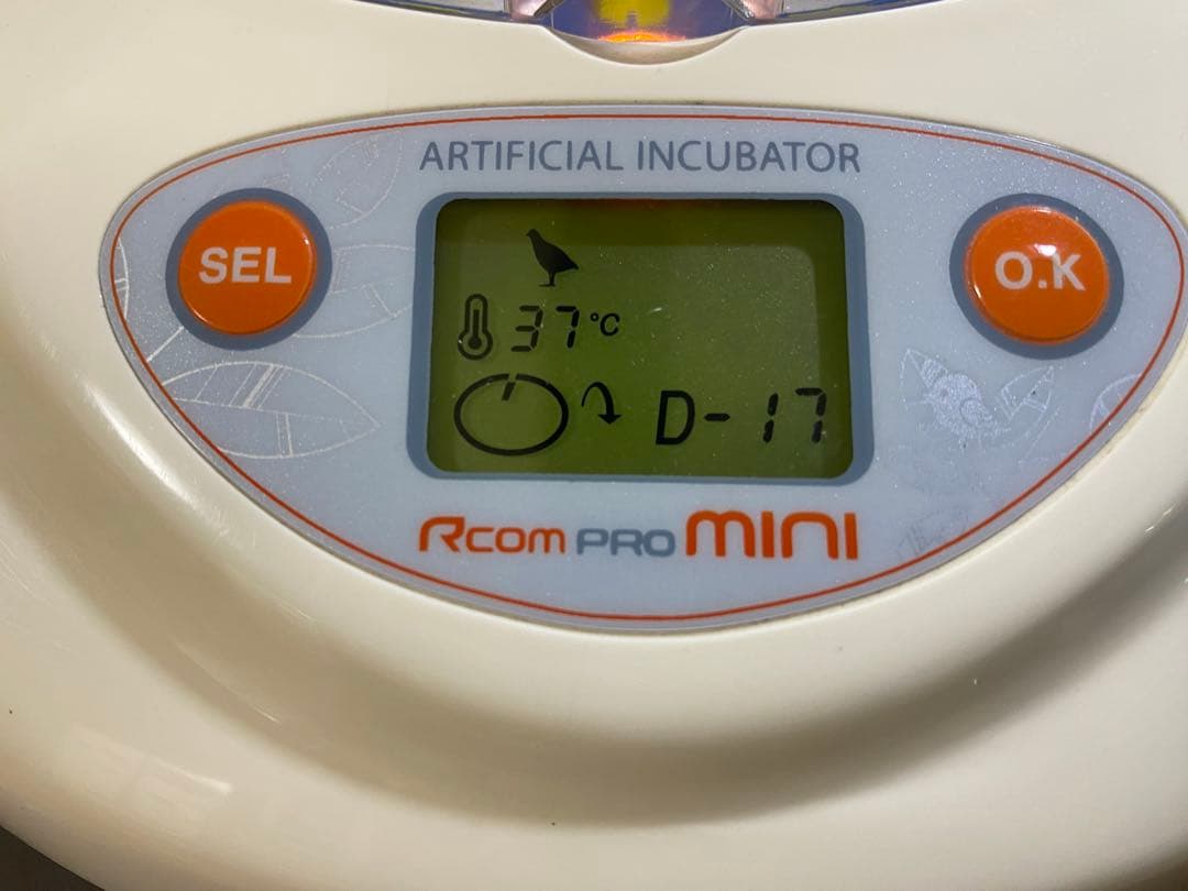 最終値下げ！リトルママ値下しました