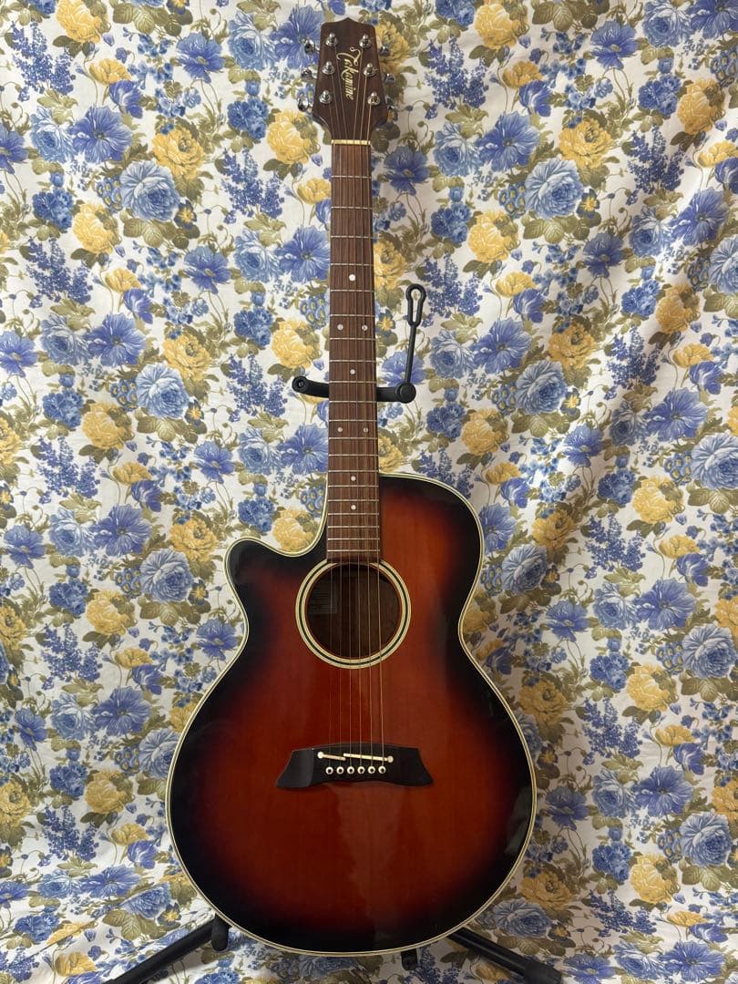 TakaminePT-106左利きコントローラーCT4BⅡ 純正ハードケース付き