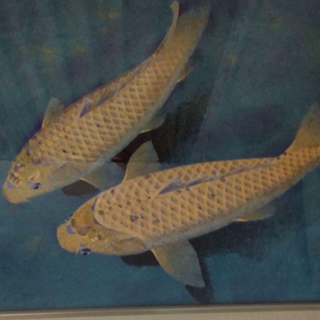 利倉群青　鯉　肉筆　F10