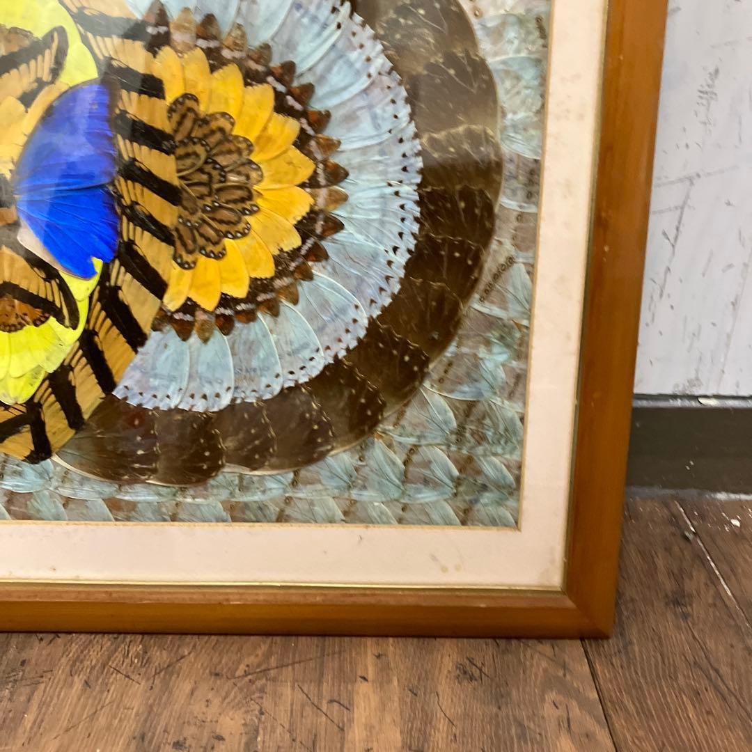 昭和レトロ 蝶 羽細工 標本 アートパネル 絵画 額装 額入り 伝統工芸 絵画