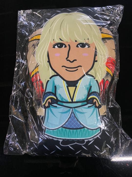 長谷川慎　クッション