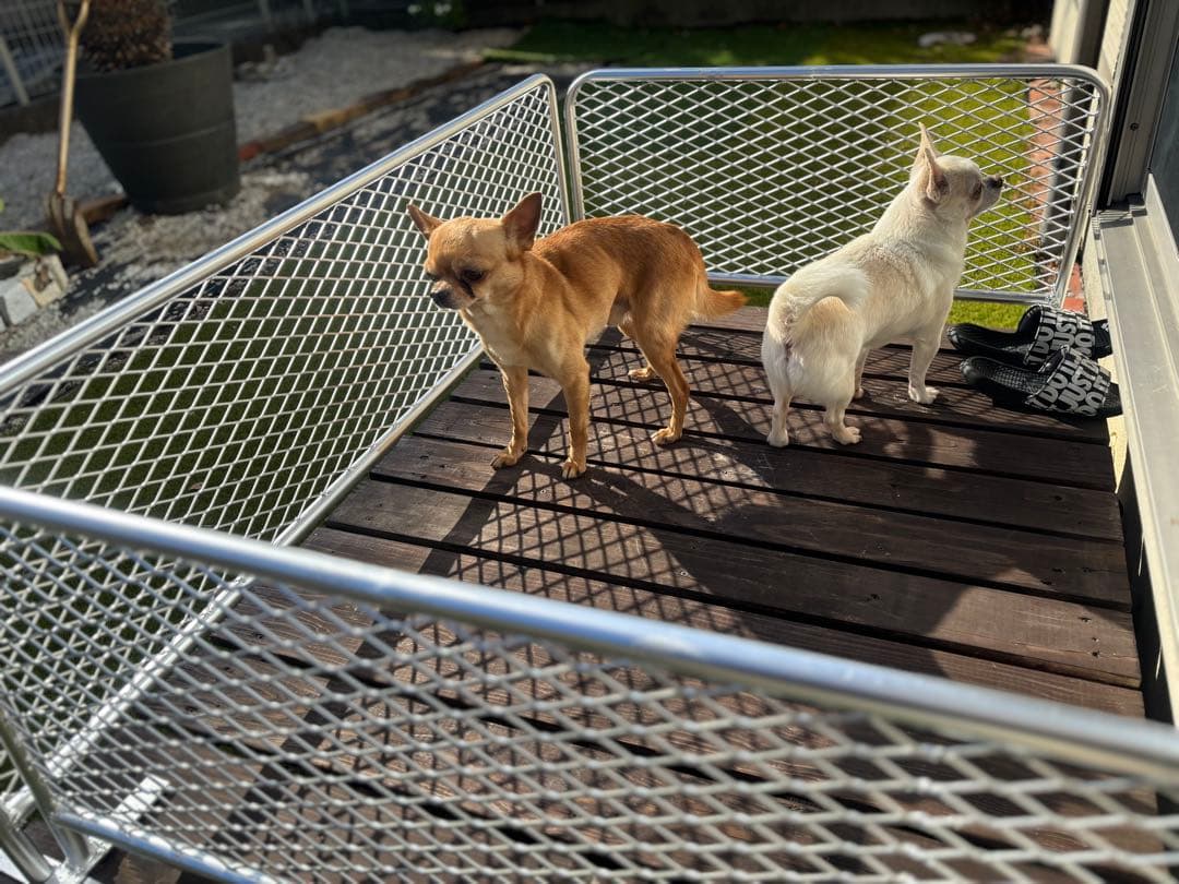 自立式アメリカンフェンス風　ドッグバリケード　間仕切り　パーテーション　脱走対策