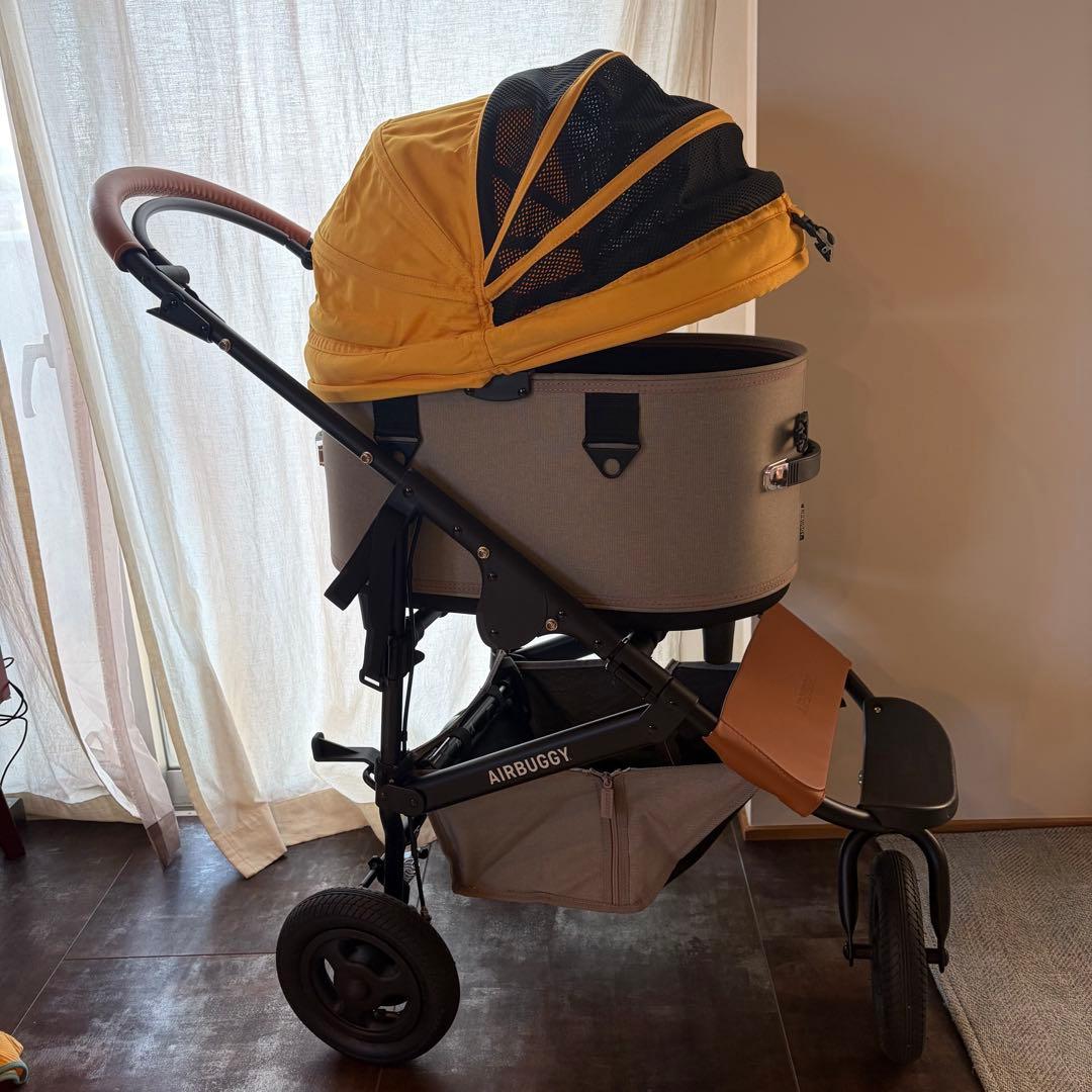 AirBuggy （エアバギー） DOME3 REGULAR チェダー