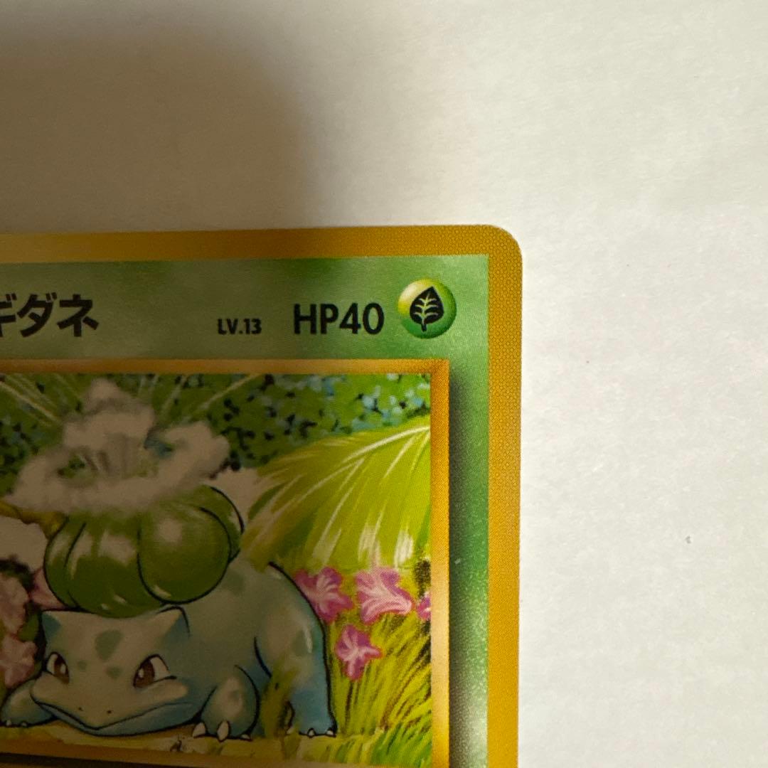 フシギダネ ● 第1弾拡張パック ポケモンカード マークなし