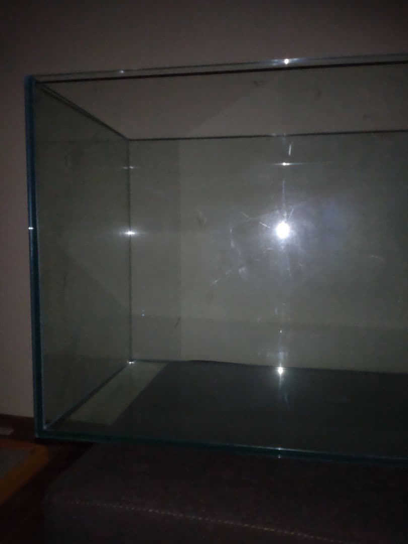 ドリー　gexグラステリア