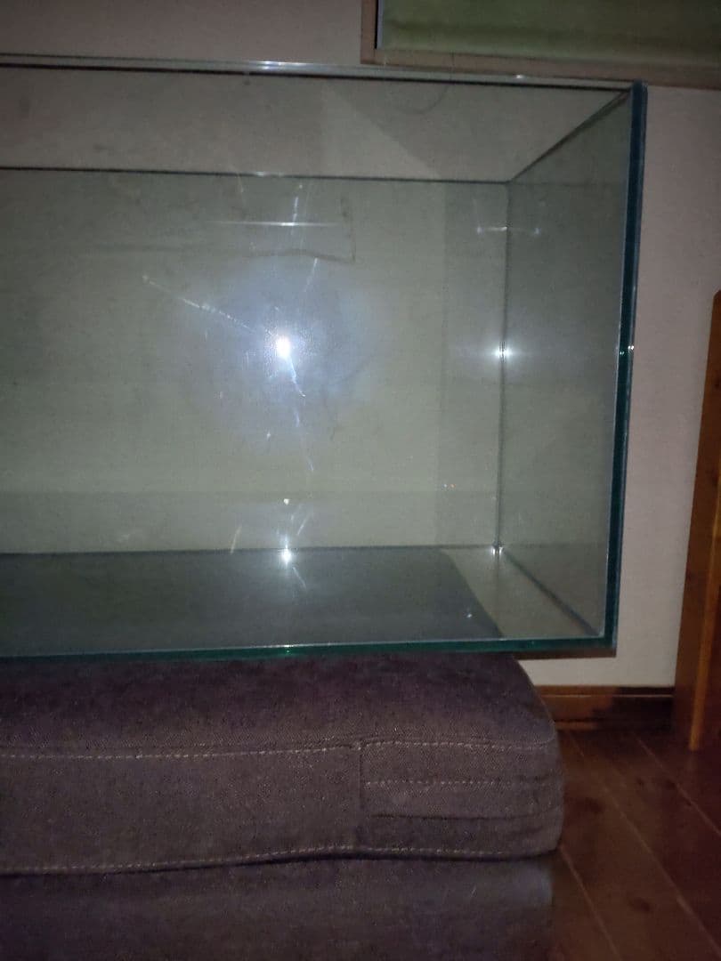 ドリー　gexグラステリア