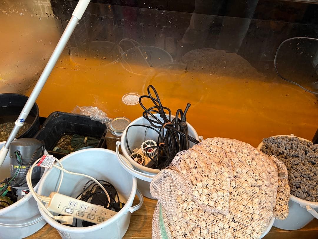 岐阜県 1/17以降 1500×600×600大型アクリル水槽フルセット8万