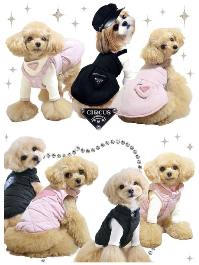 即完売❗️新品タグ付 Chic8点 サーカスサーカスcircuscircus