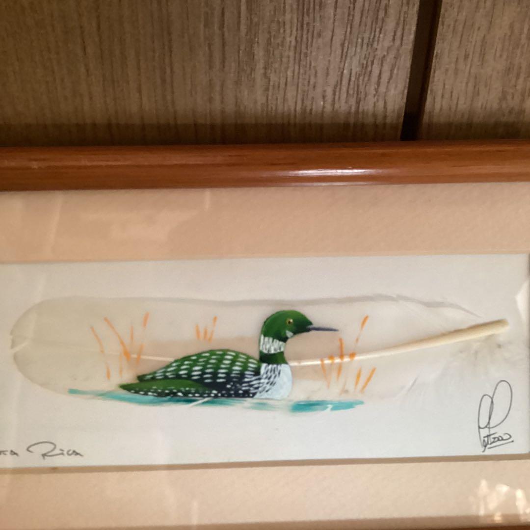 水彩画　　タイトル【　鴨　】鳥の羽に鴨の絵が描かれてます。壁掛け額装　直筆サイン