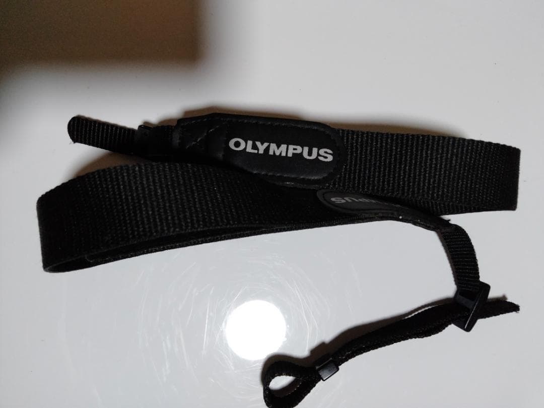 OLYMPUS E-PL1　ショット数1487