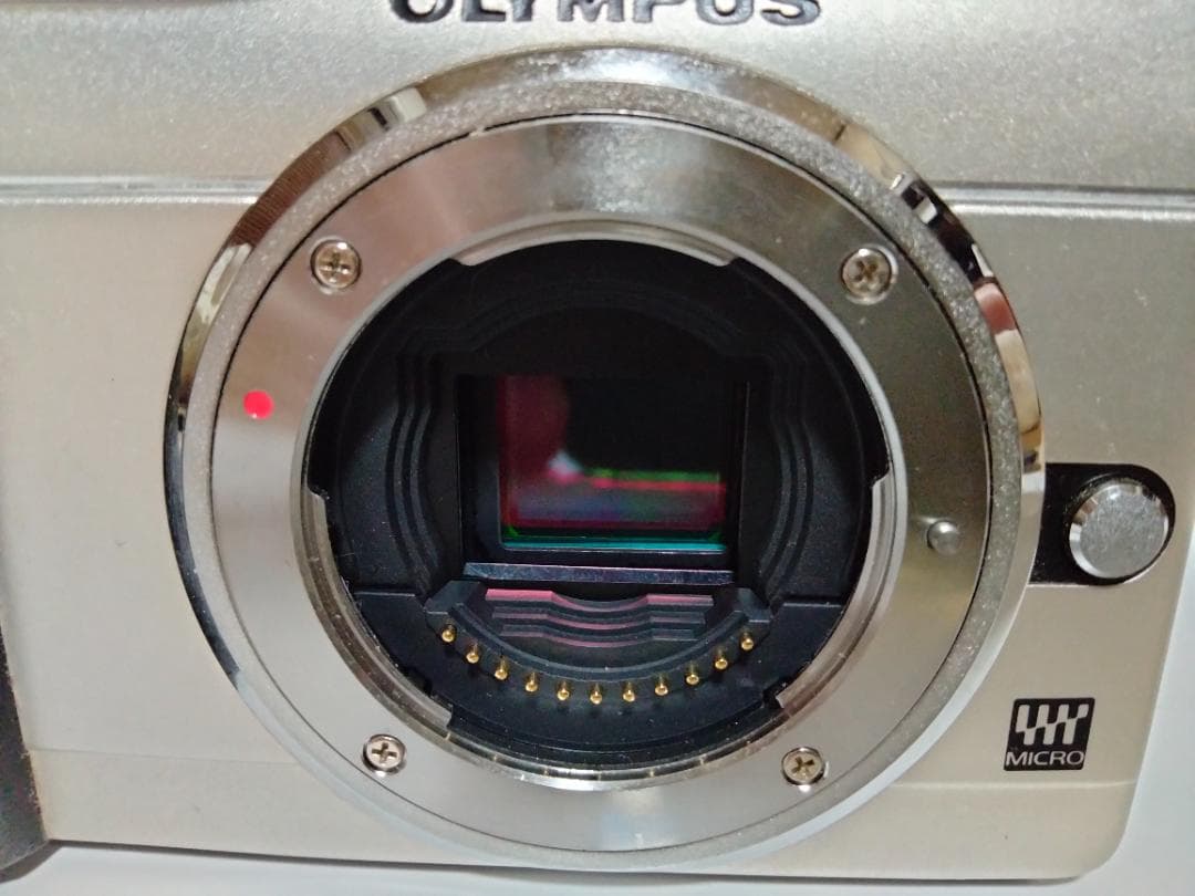 OLYMPUS E-PL1　ショット数1487