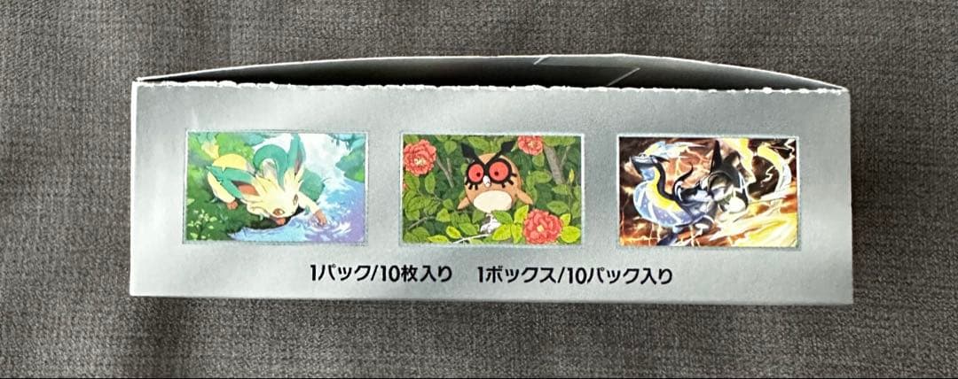 ポケモンカードゲーム テラスタルフェスEX バラ11パック