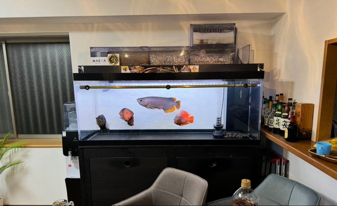 1500水槽　台　ぷぅ工房上部濾過