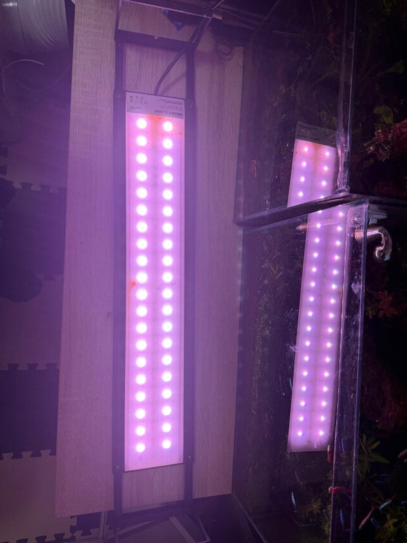 Chihiros wrgb Slim 60 とライトシェード（1枚)