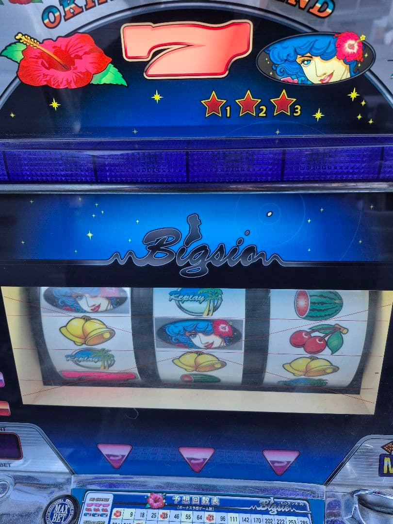 赤*目様 ビッグシオ30 実機　不要機