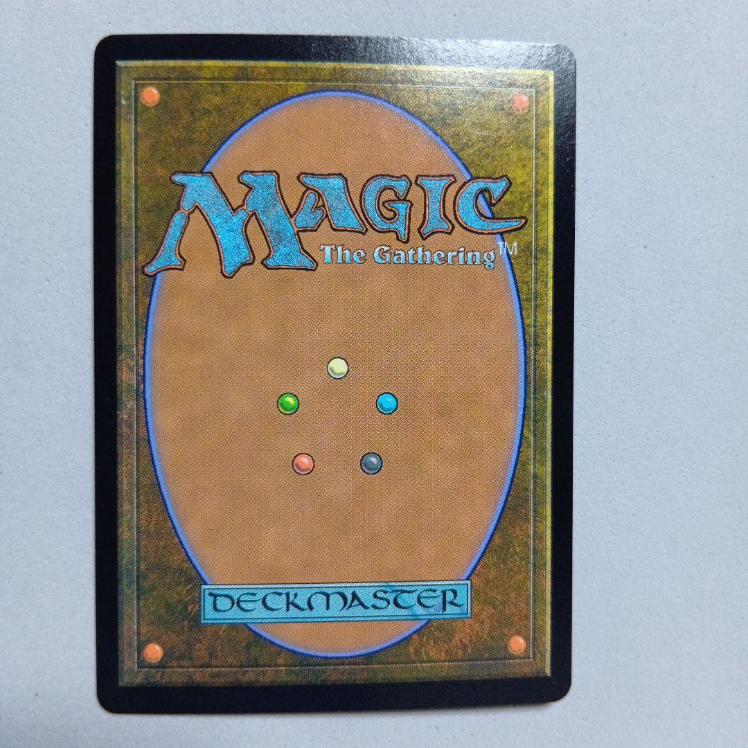 MTG 森の知恵 Foil DMR 全面アート 英語