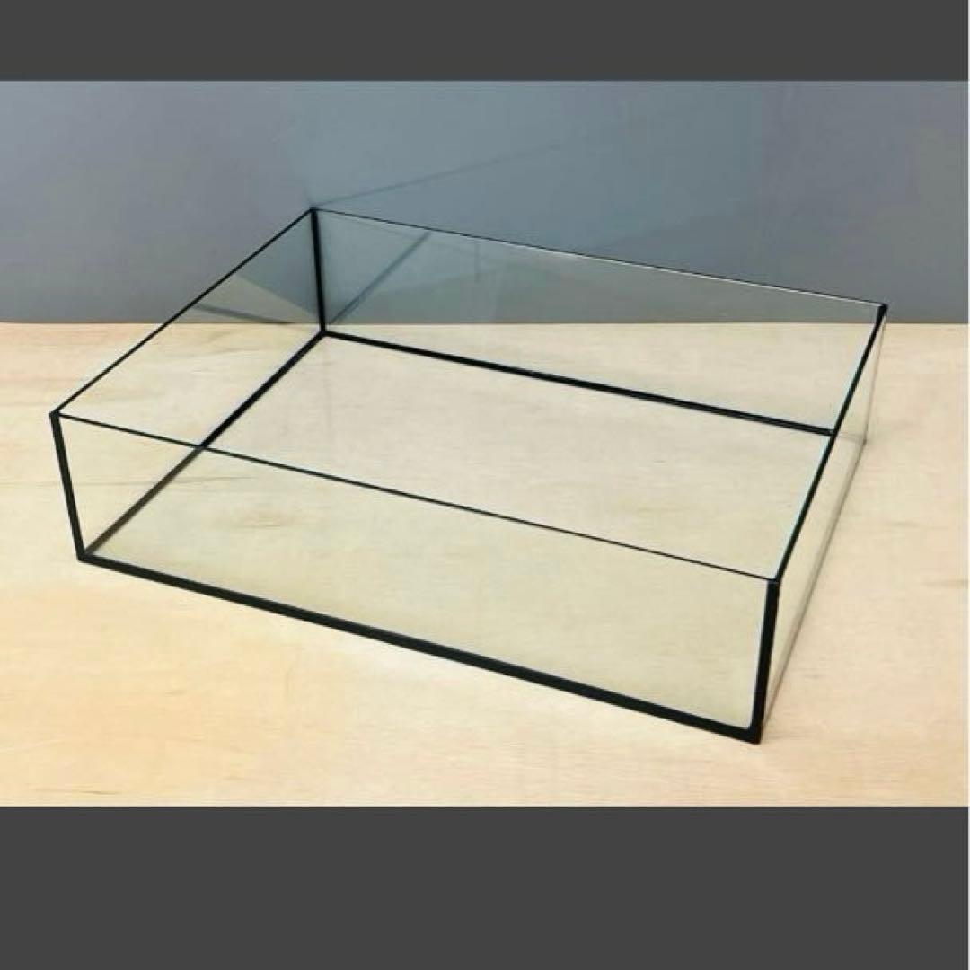 オールガラス水槽