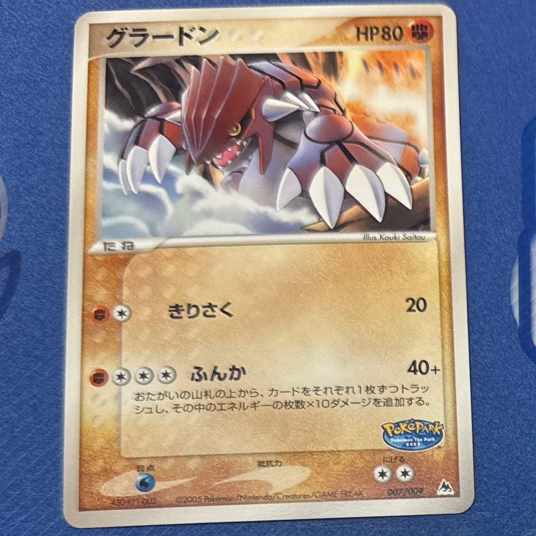 ポケモンカードゲーム ポケパーク プレミアム ファイル ブルーシート セット