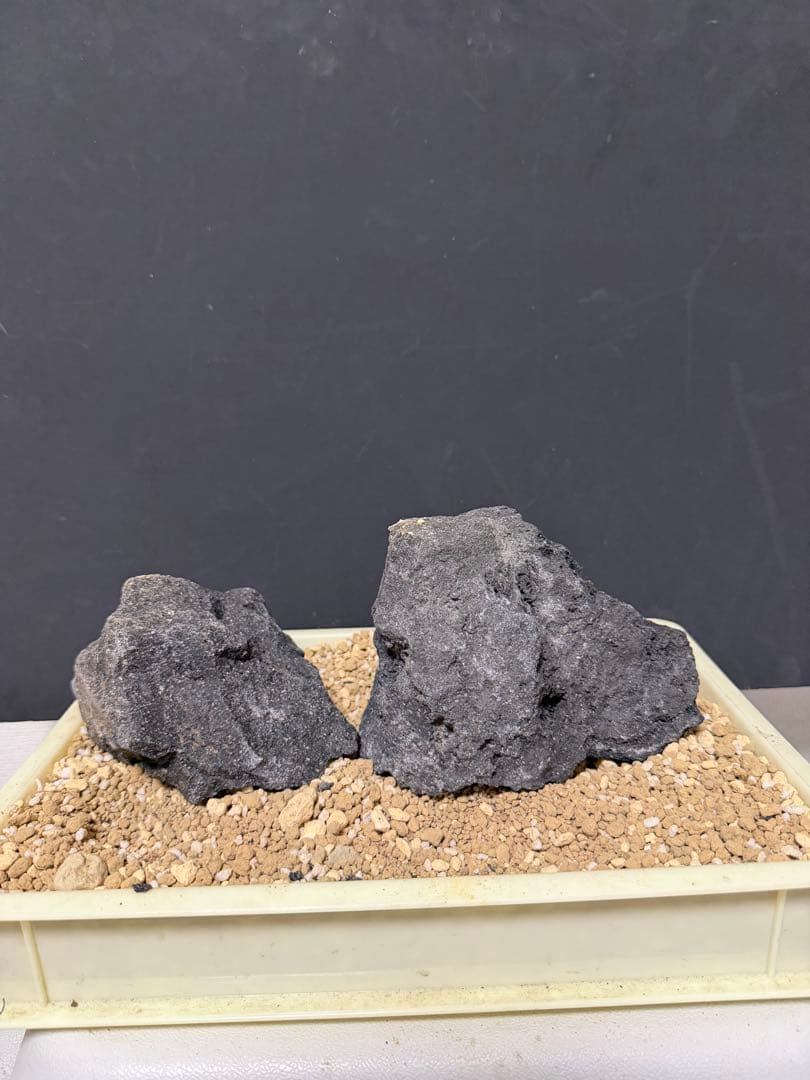 ⑧ADA山水石 組合せ！オススメ！