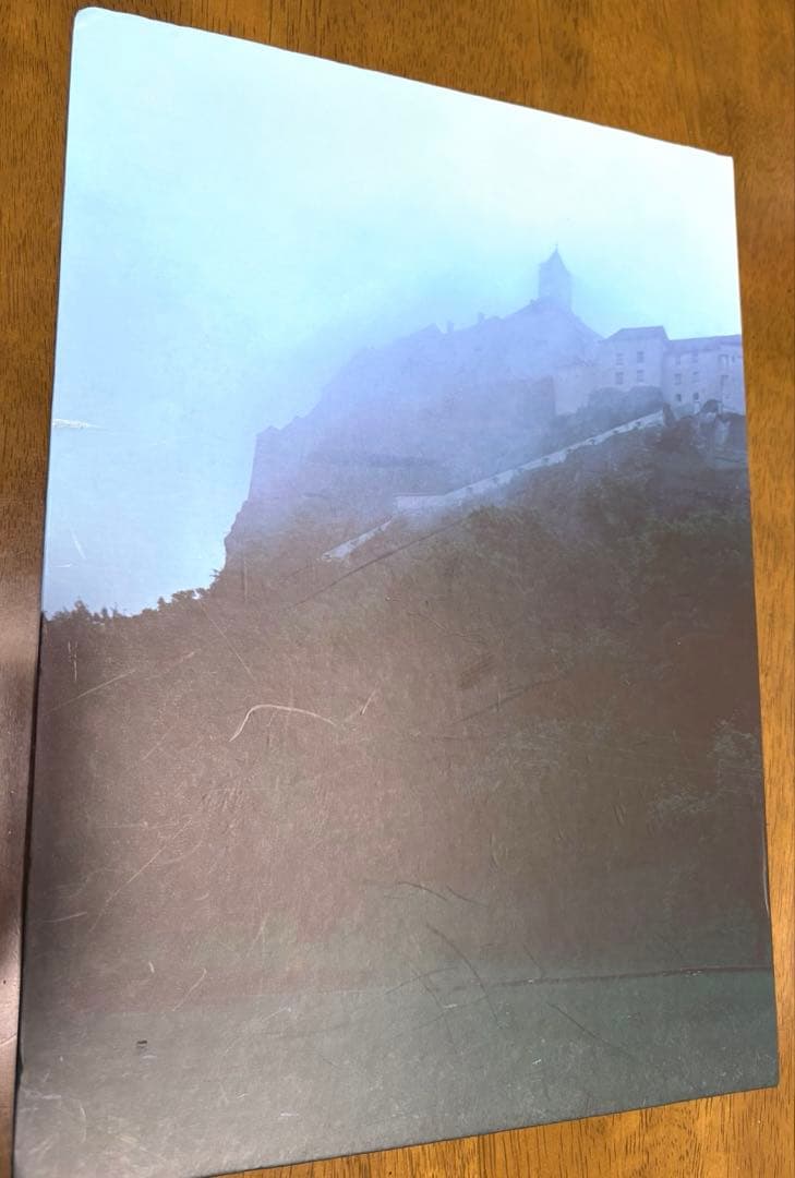 the GazettE Verwelktes Gedicht 写真集　枯詩CD