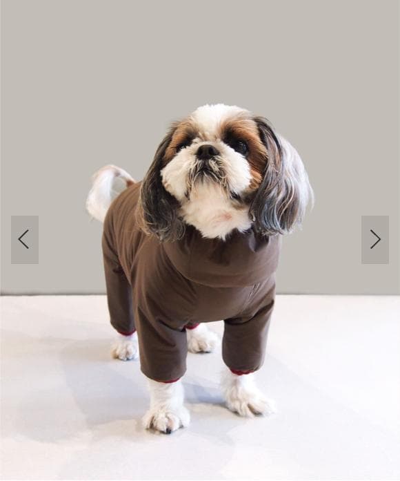 【 peak】Dog Winter Guard