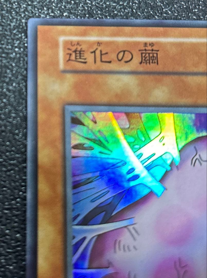 (美品)遊戯王カード初期　進化の繭　スタジオダイス版