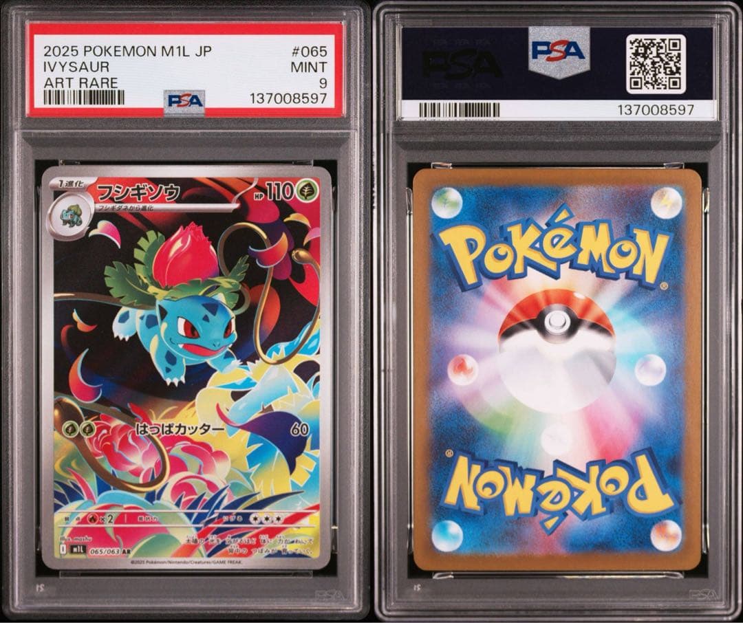 【PSA9】ポケモンカード メガフシギバナex フシギダネ　フシギソウ　3連番