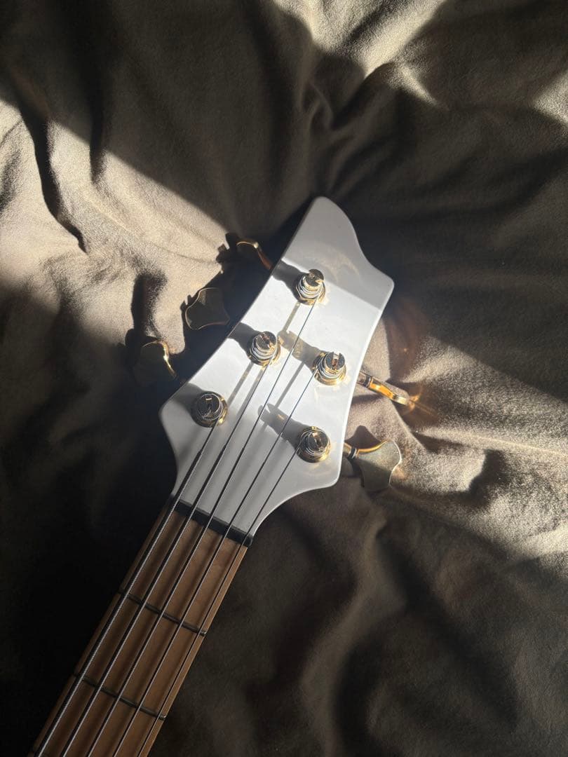 最終値下げ　Heartfield DR-5 fujigen製 5弦ベース