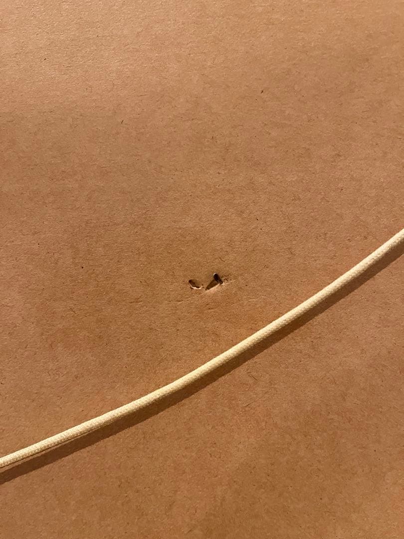 【正真正銘本物 141/250】フランス アンドレ・ブラジリエ あけぼの