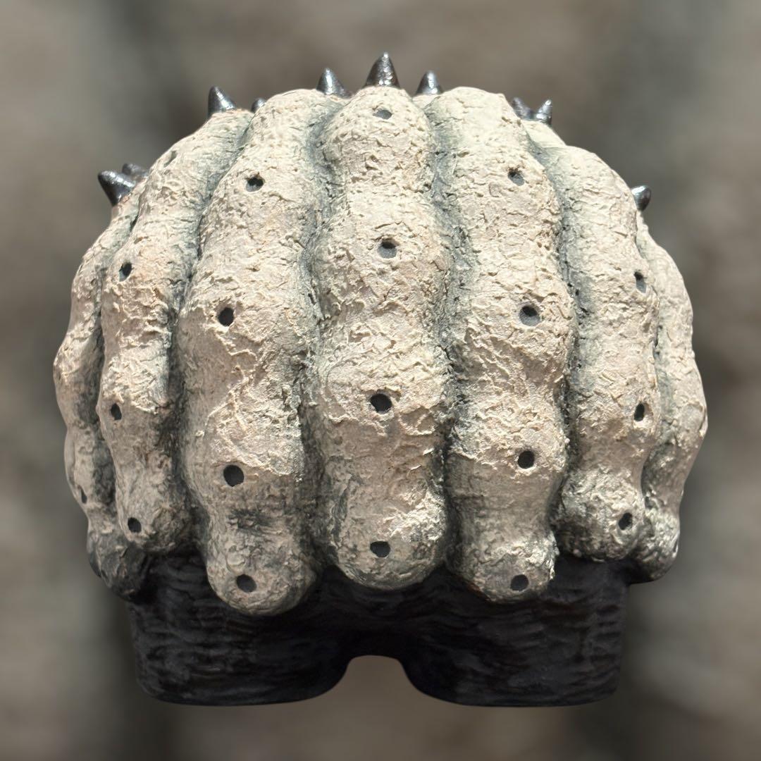 羅本製所 Copiapoa 黑王丸-丸型 Robinceramicstudio