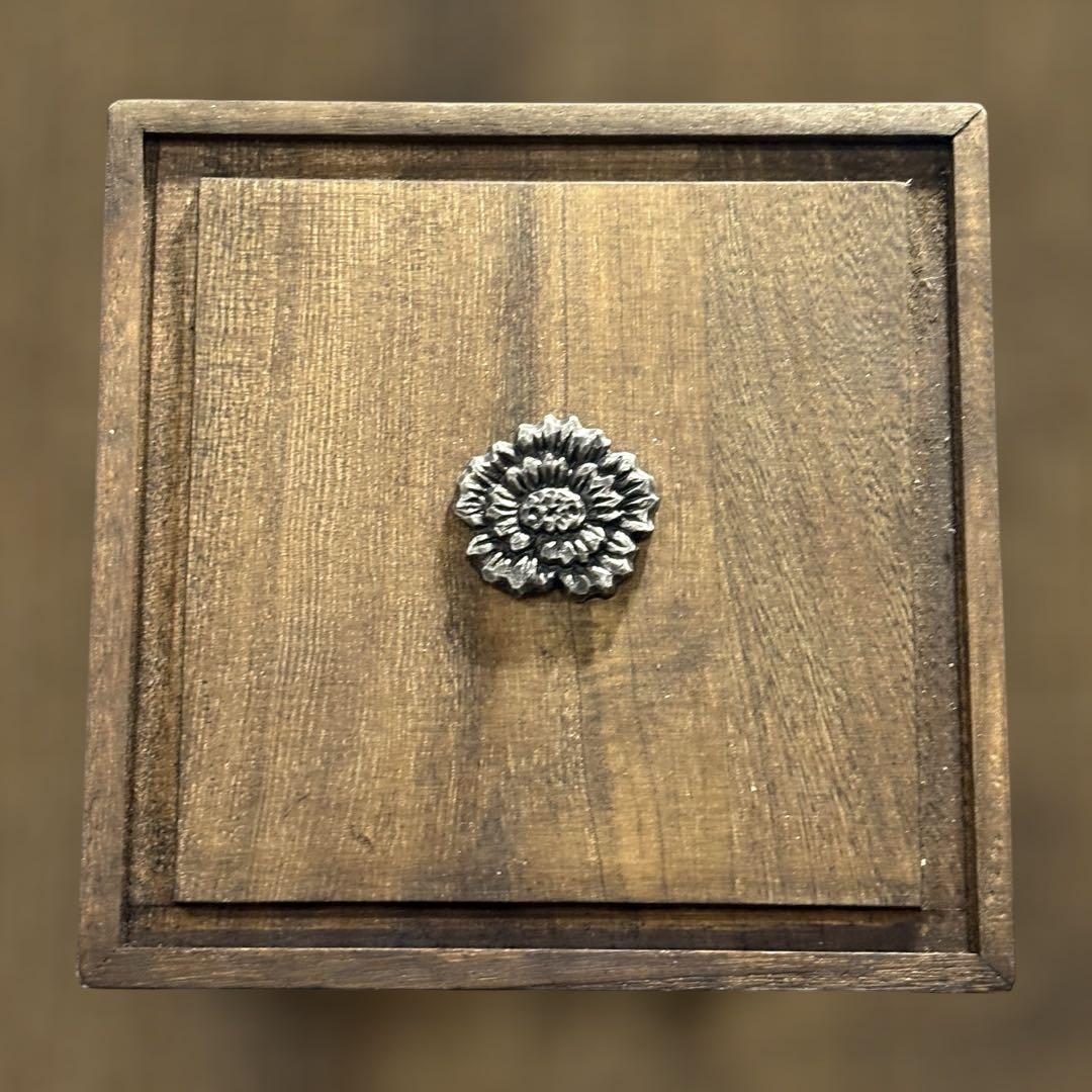 羅本製所 Copiapoa 黑王丸-丸型 Robinceramicstudio