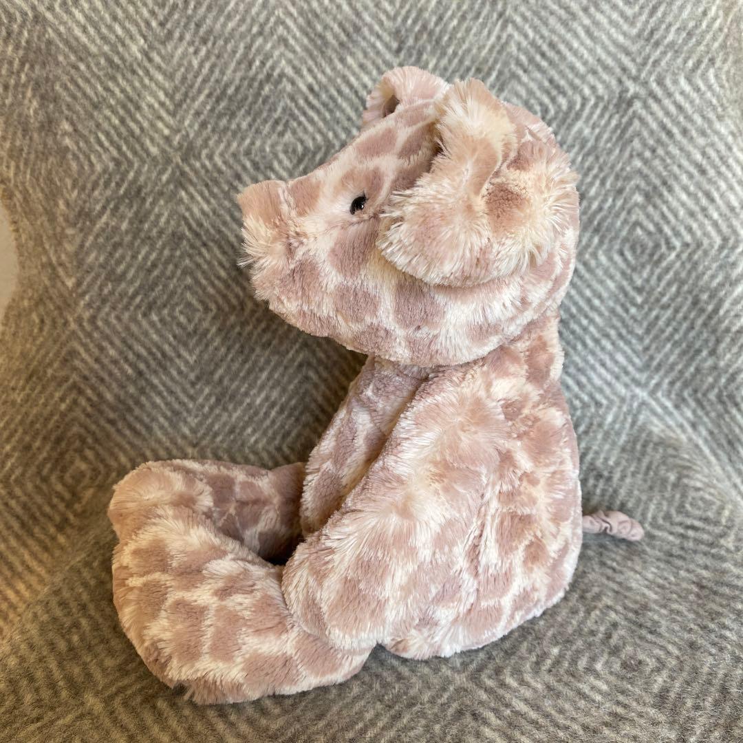 レア　ジェリーキャット　 豚　ぬいぐるみ