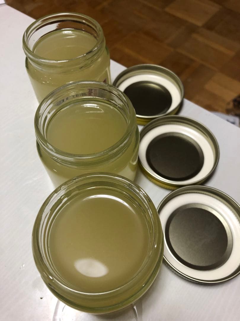 天然ヒグマ脂　１００グラム　６本