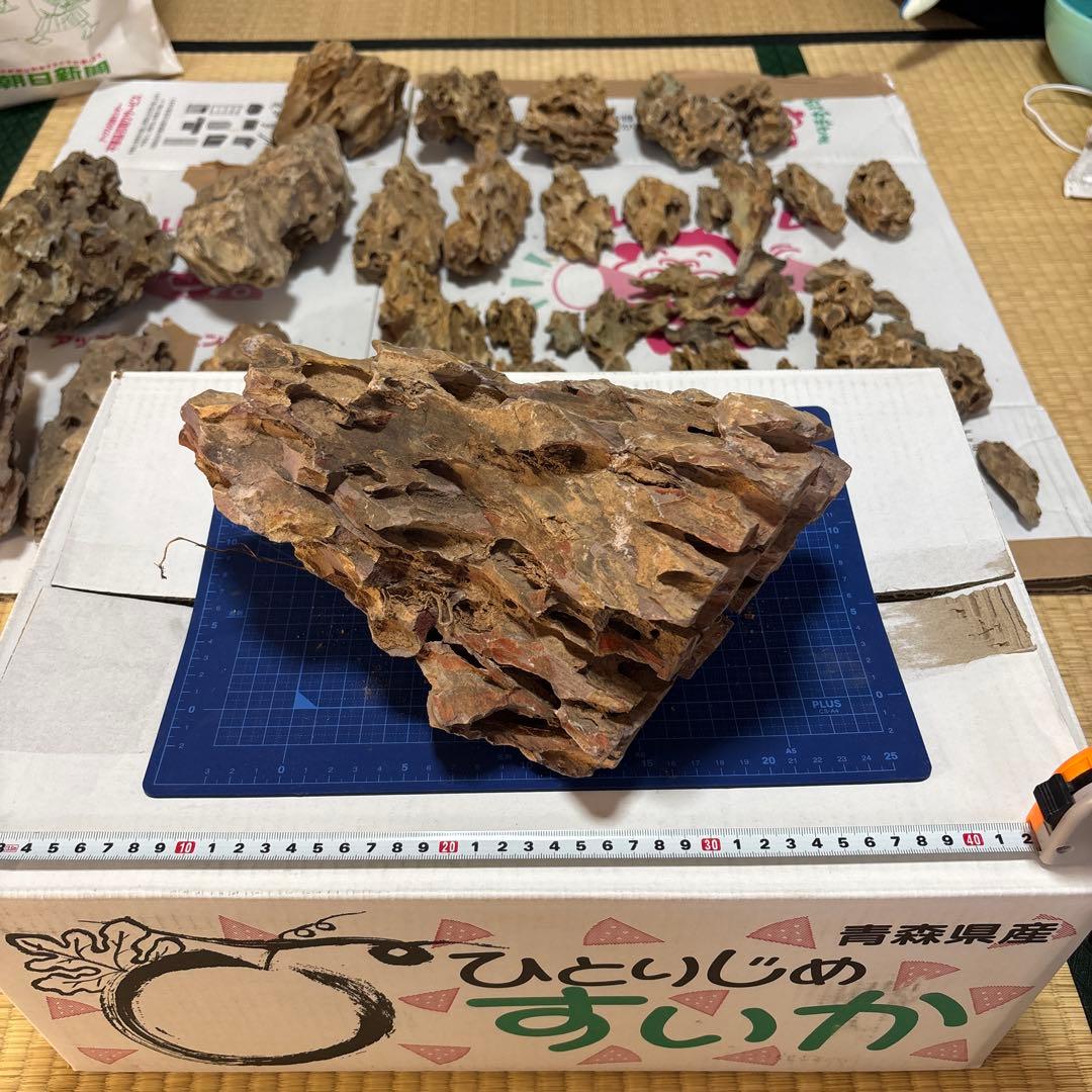 黄虎石　まとめ売り